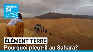 Il pleut au Sahara  Une conséquence du réchauffement climatique • FRANCE 24 [upl. by Leinahtam]