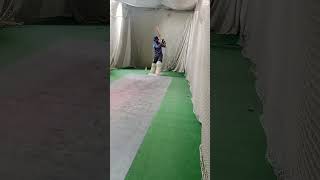 Sixes practice cricketshortscricketlover [upl. by Bomke]