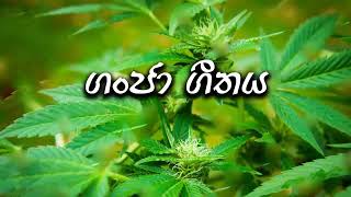 Ganja song Sinhalasl music [upl. by Ihana]