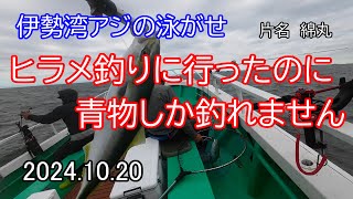 ヒラメ釣りに来たのに青物しか釣れませんでした【綿丸】 [upl. by Fax]