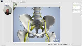 Understanding Sacroiliac Joint Sprain Strain Treatment 🦴 [upl. by Vaasta114]