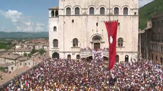 GUBBIO  Festa dei Ceri Piccoli 2023  Alzata in Piazza Grande cronacaeugubinait [upl. by Ikoek]