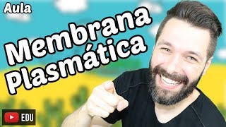 Membrana Plasmática  Funções e Estrutura  Biologia com Samuel Cunha [upl. by Enitsuj799]