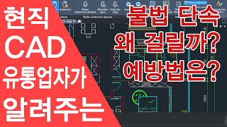 현직 캐드 유통업자가 알려주는 불법 단속 걸리는 이유와 예방법 [upl. by Fuller]