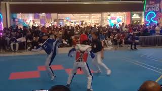 TAEKWONDO Kyorugi Elimination Palarong Pambansa 2024 1 [upl. by Thesda]