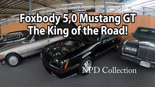 EP903 Foxbody Ford Mustang GT 5 0 The King of the Road [upl. by Eelam]