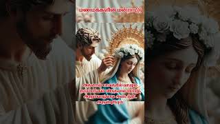 மணமக்களின் மன்றாட்டு  மிகுந்த பலனுள்ள ஜெபம்  Part 2 avemaria tamilcatholic catholicprayers [upl. by Ativahs742]