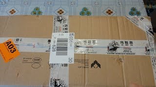 Prunus Mume Bonsai Trees  Unboxing [upl. by Samoht]