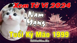 Xem tử vi tuổi Kỷ Mão 1999 năm 2024 nam mạng Vận Hạn  Tài Lộc đầy đủ chi tiết nhất [upl. by Mraz]