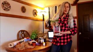 MASON JAR AQUAPONICS A FUN PROJECT FOR KIDS AND ADULTS [upl. by Yruoc]