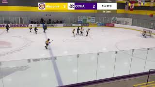 CCHA PWB1G Vs Waconia [upl. by Chew]