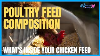 Poultry Feed Composition Whats Inside In Your Chicken Feed [upl. by Sasha477]