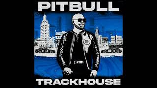 Pitbull  Roof On Fire [upl. by Aihsei]