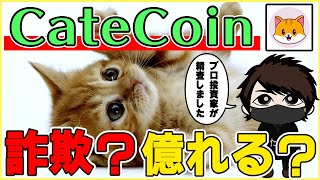 大注目の「CateCoin」は詐欺？プロが完璧に精査した結果…。【第二の柴犬】【購入方法】 [upl. by Ellinger]