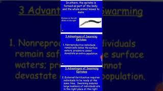 Bsc part I Zoology Topic phylum Annelida part 2 [upl. by Namruht221]