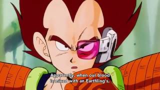 Vegeta Talks About HybridSaiyans Japanese [upl. by Eecyaj238]