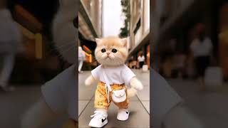 eharmony cat loverviralvideo viralshort [upl. by Sarad]