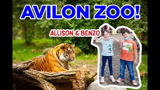 Allison amp Benzo in Avilon Zoo [upl. by Pasco]