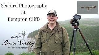 Seabird Photography at Bempton Cliffs [upl. by Sauls]