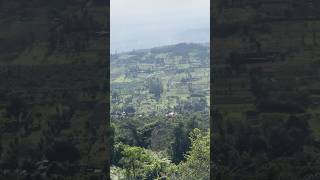 The Great Rift Valley 😍 ytshorts riftvalley [upl. by Trilbi]