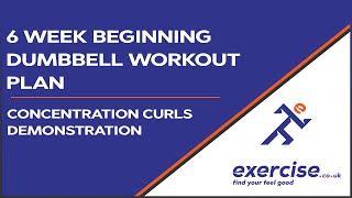 6 Week Beginners Dumbbell Workout Plan  Concentration Curls Demonstration [upl. by Naerol]