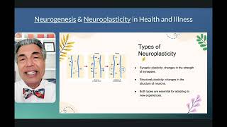 NEUROPLASTICITY and NEUROGENESIS Explained [upl. by Auod]