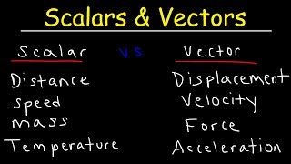 Scalars and Vectors [upl. by Orran]