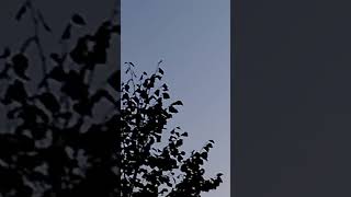 Airplanes overflight [upl. by Merralee360]