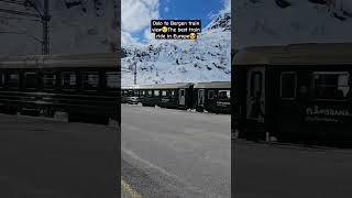 Oslo to Bergen train view😯The best train ride in Europe😍 travel snow train shorts trainride [upl. by Hnacogn568]