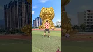 Golden Dog Statue vfxind worldcup funny trending shortsviral dog [upl. by Fredia]