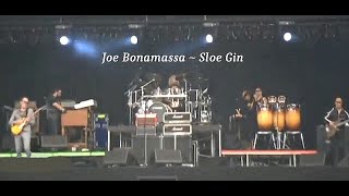 Joe Bonamassa  Sloe Gin Tim Curry cover  2014  Live Video at Pinkpop Landgraaf Netherlands [upl. by Manno]