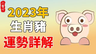 2023 癸卯年 生肖豬全運勢 1959跟1971的屬豬人財運旺盛 橫財大發｜生活小醬汁 [upl. by Rachel364]