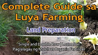 Land Preparation  Luya Farming  Single or Double Row [upl. by Nylesaj]