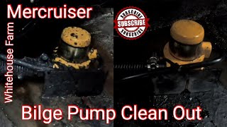 Boat Bilge Pump Clean Out [upl. by Yeruoc]