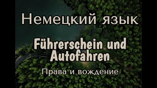 Немецкий язык Пополнение словарного запаса Водительские права и вождение автомобиля [upl. by Nomzzaj]