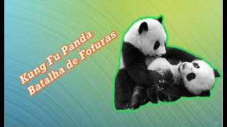 Filhotes de Urso Panda batalhando ferozmente  Kung Fu Panda  Pt1 [upl. by Takeo]