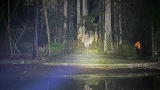 bohemian grove infiltration [upl. by Seamus]