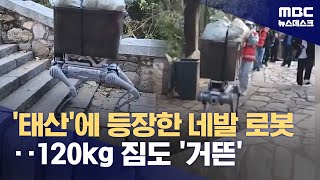 중국 태산 오르내리는 네발 로봇‥120kg 짐도 거뜬 20241022뉴스데스크MBC [upl. by Schapira712]