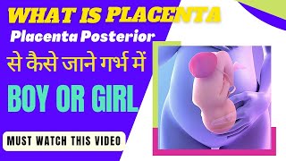 Placenta Posterior से जाने गर्भ में लड़का है या लड़की  placenta क्या होता है [upl. by Cerveny525]