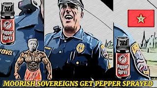 MOORISH SOVEREIGN CITIZENS GET PEPPER SPRAYED BY POLICE [upl. by Naehgem218]