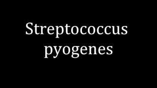 How to pronounce Streptococcus pyogenes [upl. by Mahda]