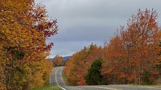 Fall Foliage on Talimena National Scenic Byway [upl. by Nahgeam279]