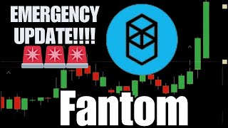 Fantom FTM crypto review 2024  Technical Analysis Update and Price Now [upl. by Ahsratan]