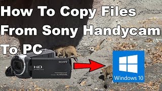 How to copy videos from Sony Handycam to computer [upl. by Greff]