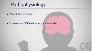 Therapeutic Hypothermia Treatment of Hypoxic Ischemic Encephalopathy Part 1 by D Casey [upl. by Ynaffet]