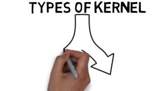 What is Kernel in Operating System Explained with its Types [upl. by Tfat59]