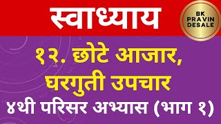 छोटे आजार घरगुती उपचार स्वाध्याय  chote aajar gharguti upchar swadhyay  प्रश्न उत्तर परिसर अभ्यास [upl. by Annayat538]