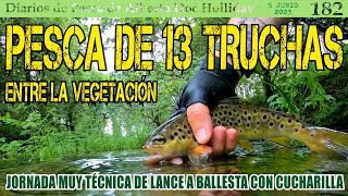 PESCA DE 13 TRUCHAS ENTRE LA VEGETACIÓN Jornada muy técnica de lance a ballesta con cucharilla sm [upl. by Dell]