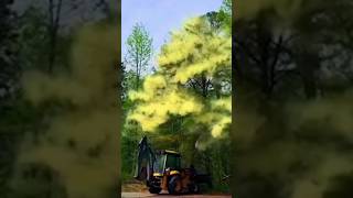 Why Your ALLERGIES Got WORSE tree pollen nature howto [upl. by Aix]