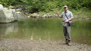 Charlottesville PHWFF Brook Trout Fishing in the Southern Blue Ridge Mountains [upl. by Ralph]